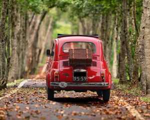 Wagenparkbeheer dashboard met voertuigbewaking, onderhoudsplanning en brandstofmanagement voor transportbedrijven